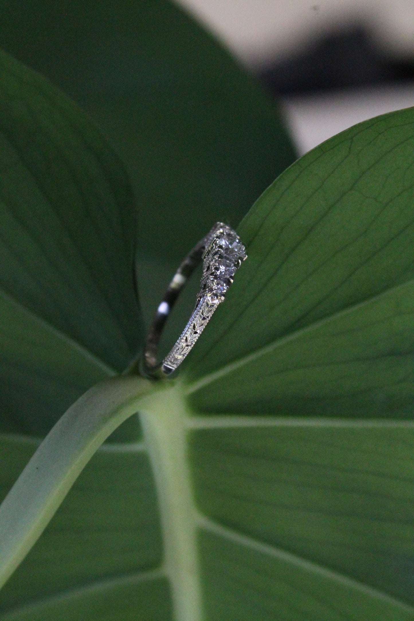 Anillo a pedido, quintillo, hecho a mano, platino y brillantes.