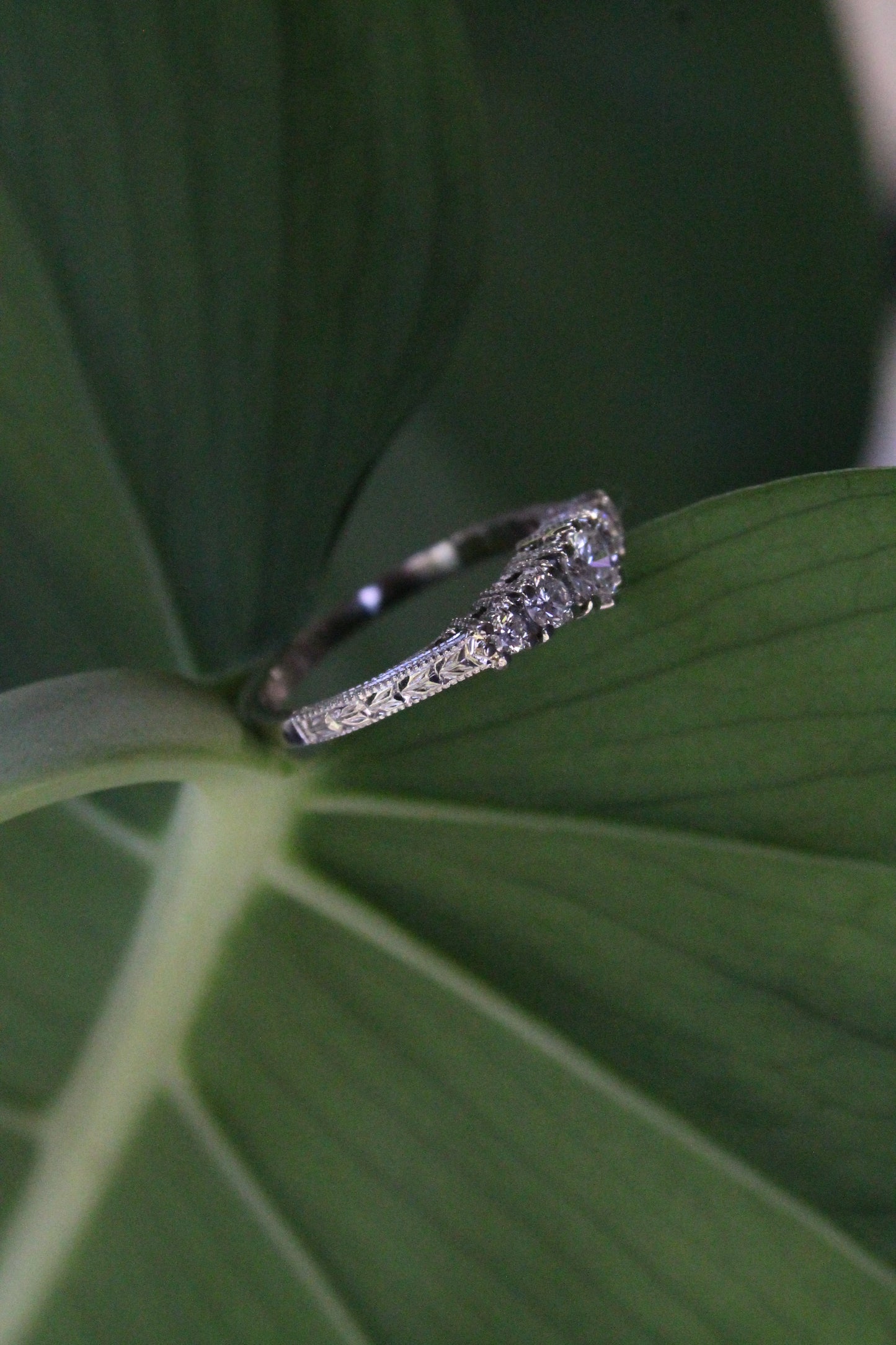 Anillo a pedido, quintillo, hecho a mano, platino y brillantes.