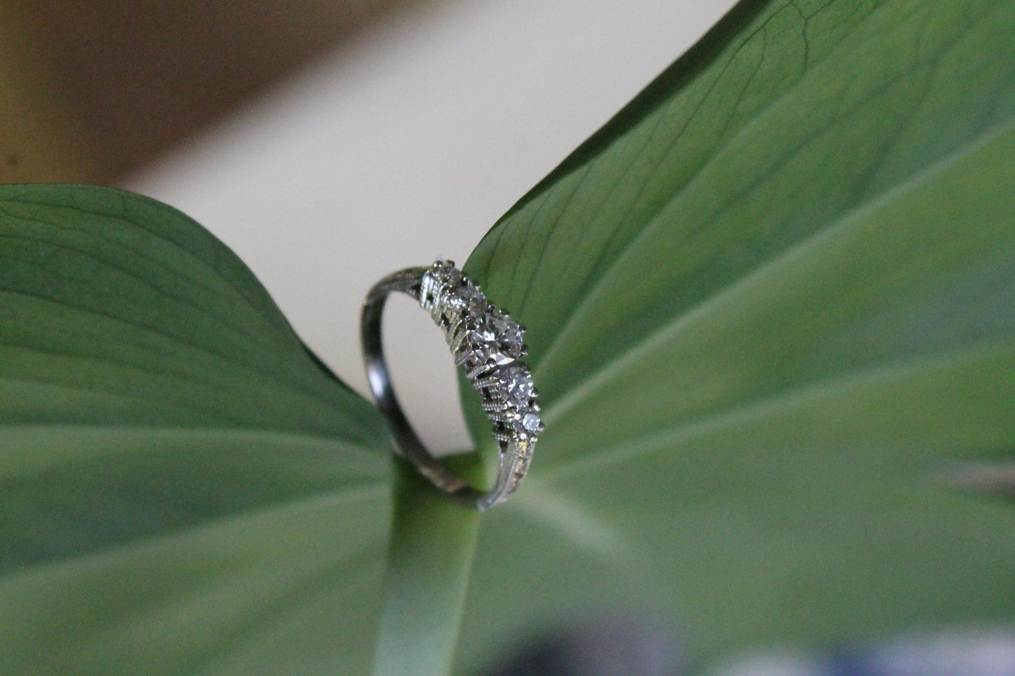 Anillo a pedido, quintillo, hecho a mano, platino y brillantes.