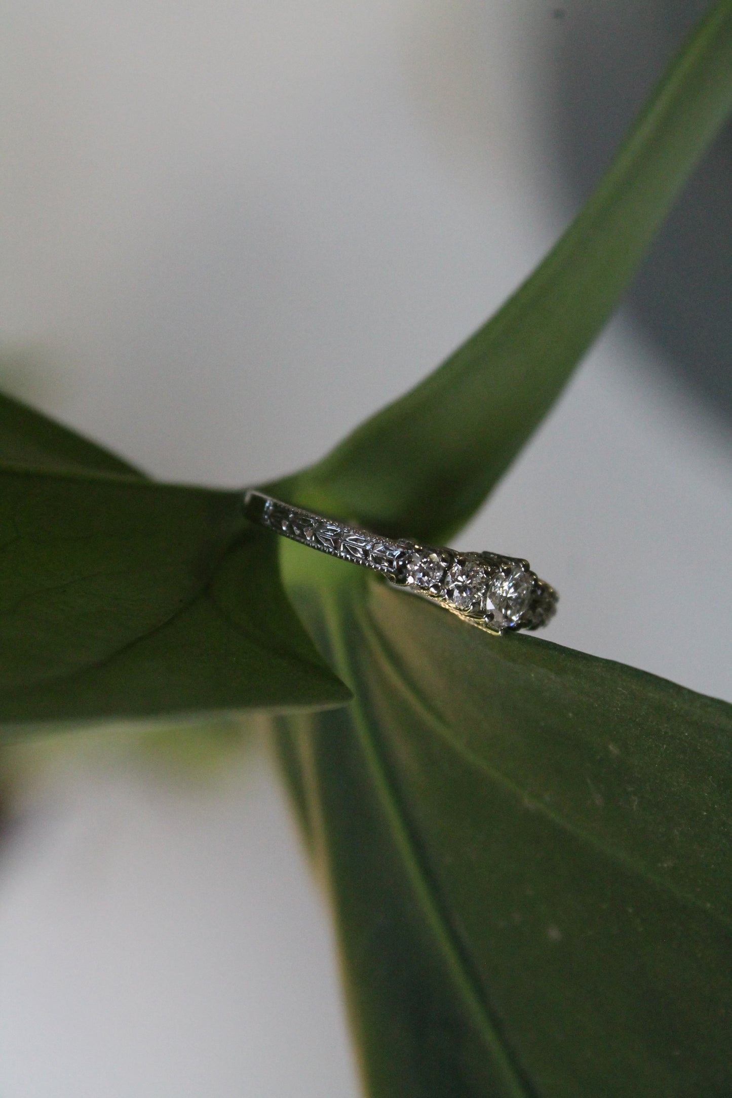 Anillo a pedido, quintillo, hecho a mano, platino y brillantes.
