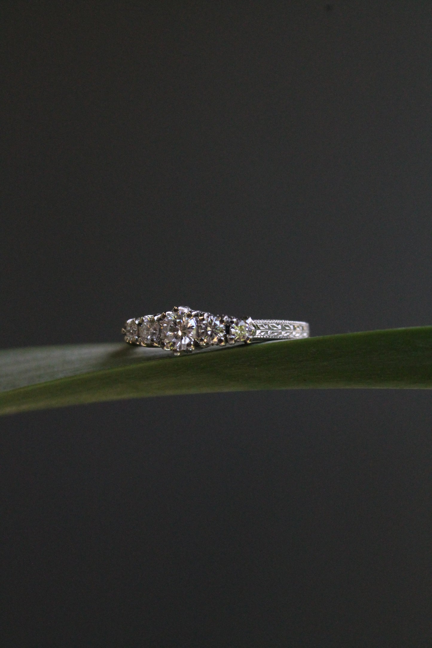 Anillo a pedido, quintillo, hecho a mano, platino y brillantes.