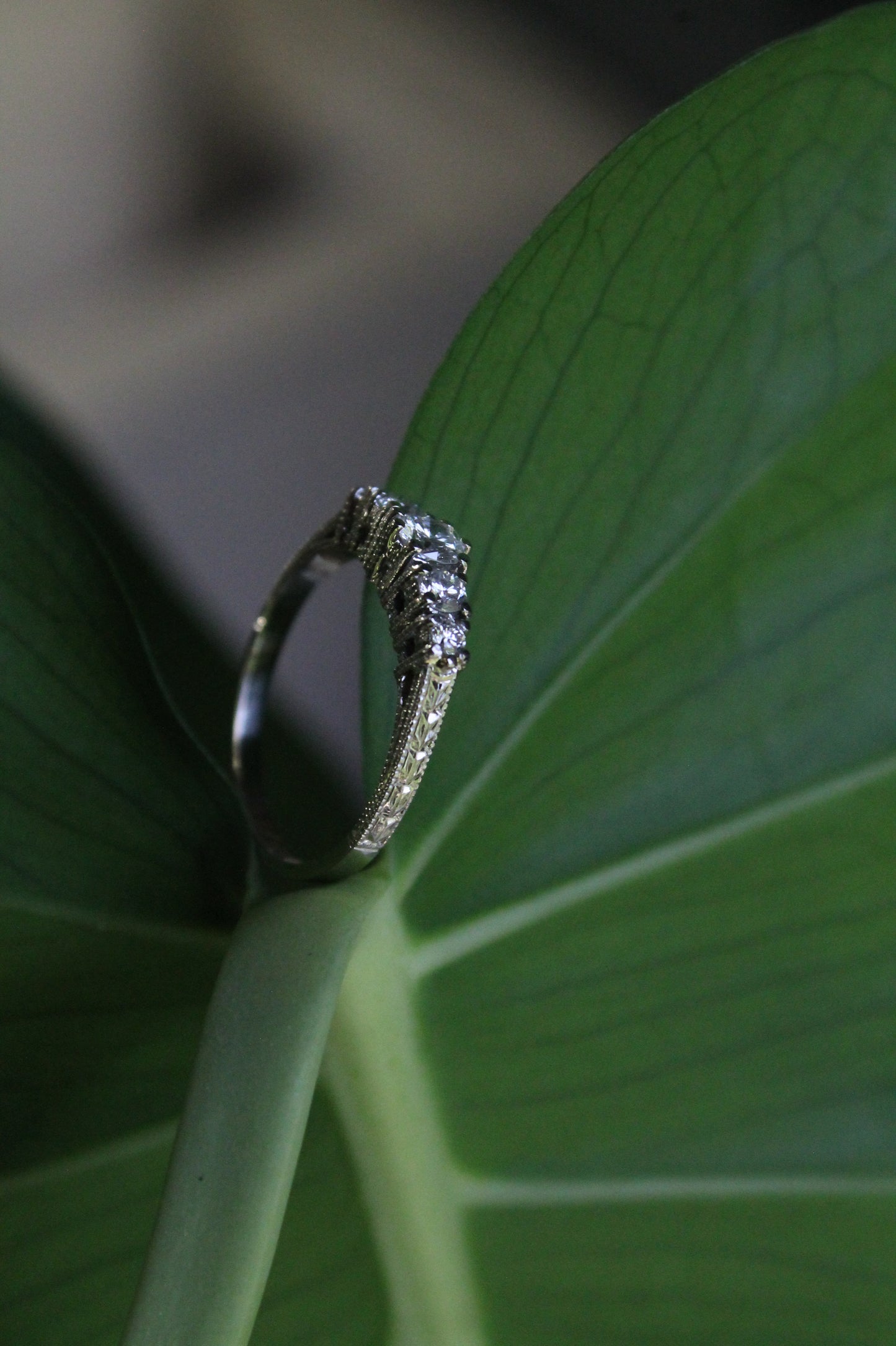 Anillo a pedido, quintillo, hecho a mano, platino y brillantes.