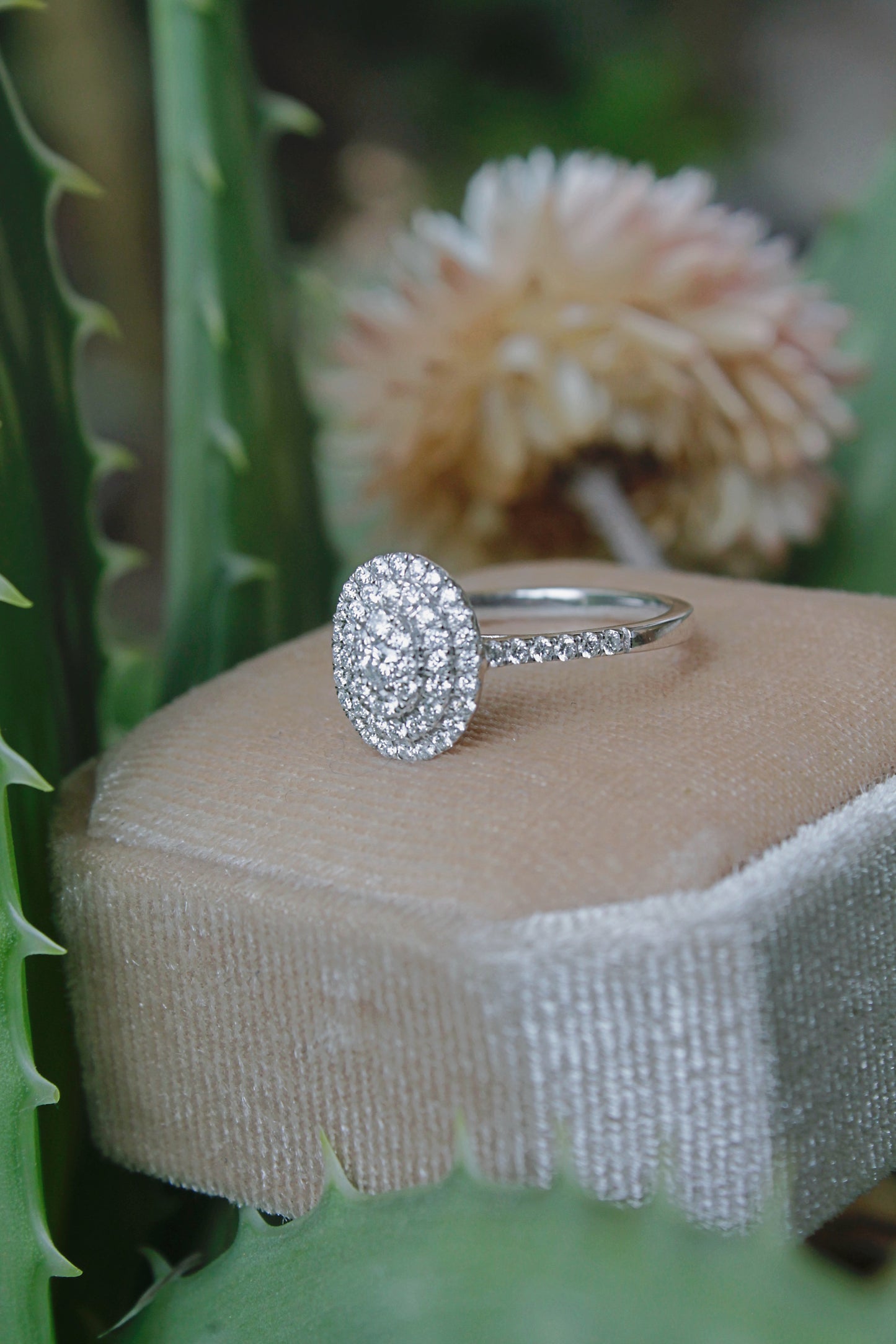 Anillo halo oro blanco y brillantes