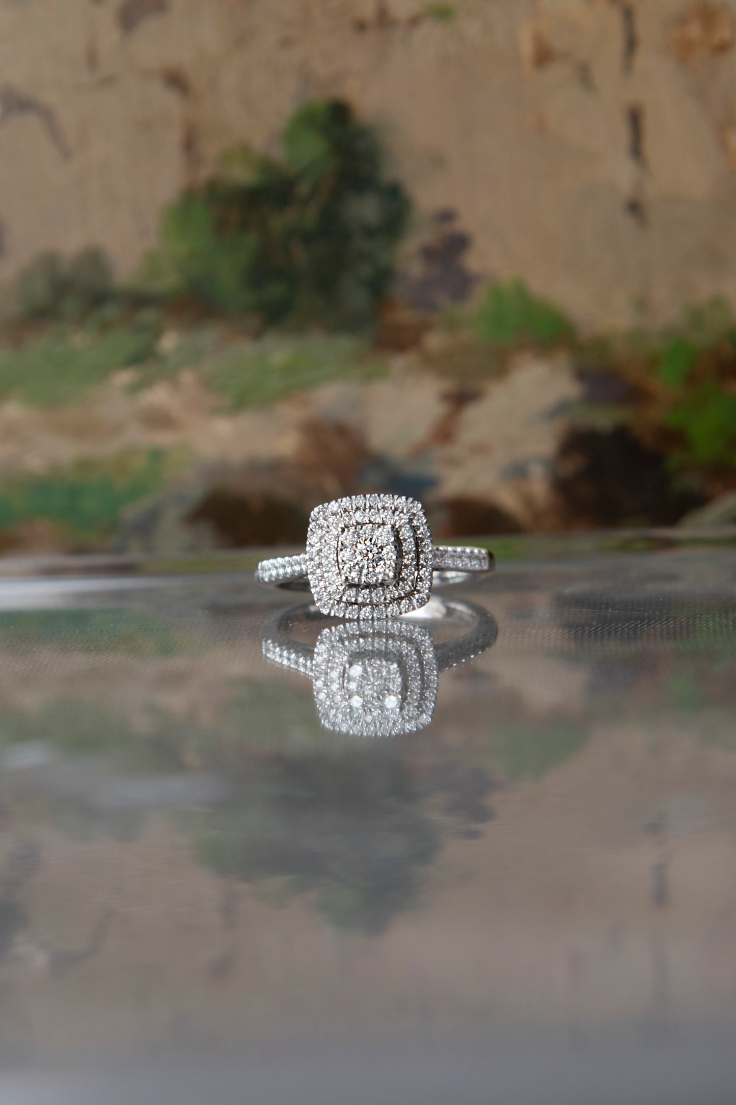 Anillo modelo halo, oro blanco y brillantes