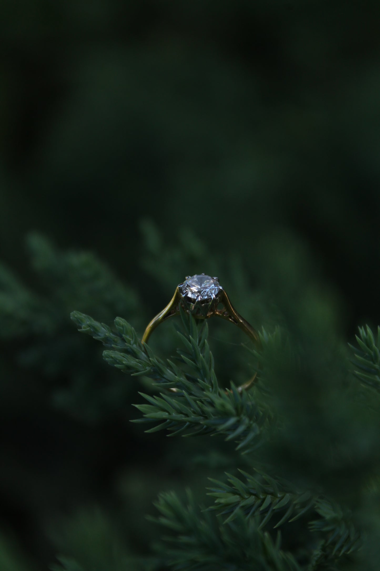 Anillo solitario europeo, oro amarillo, platino y brillante "old european cut".