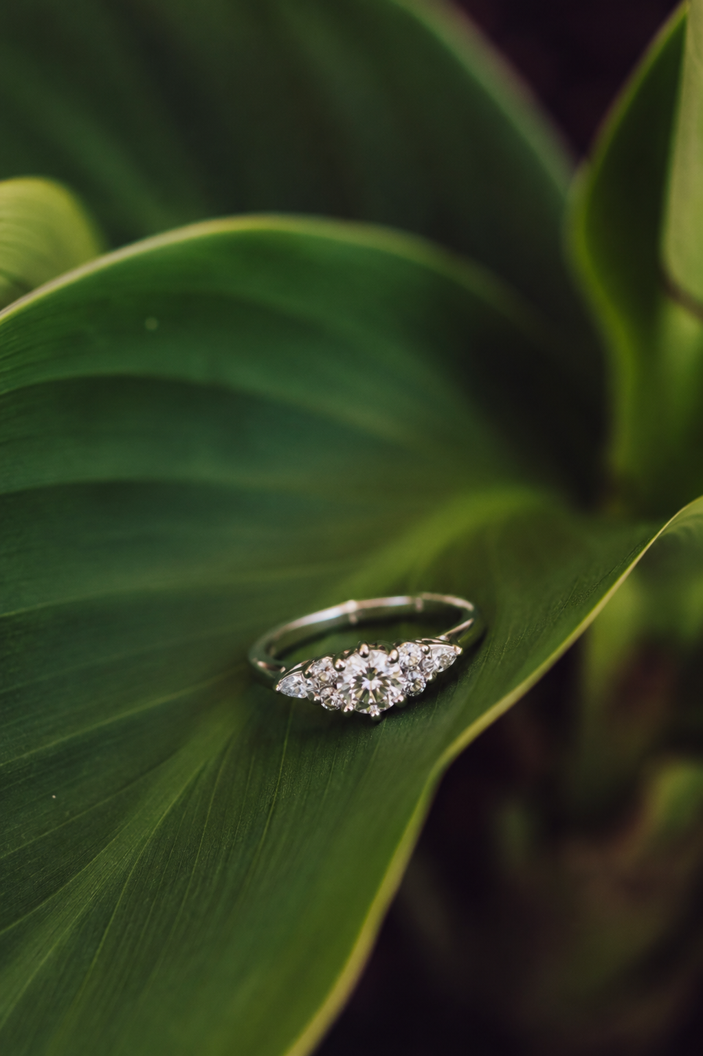 Anillo platino y diamantes