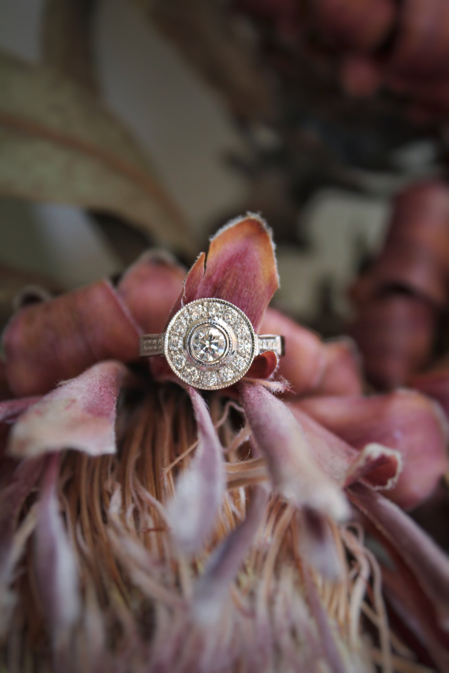 Anillo modelo halo, oro blanco y brillantes