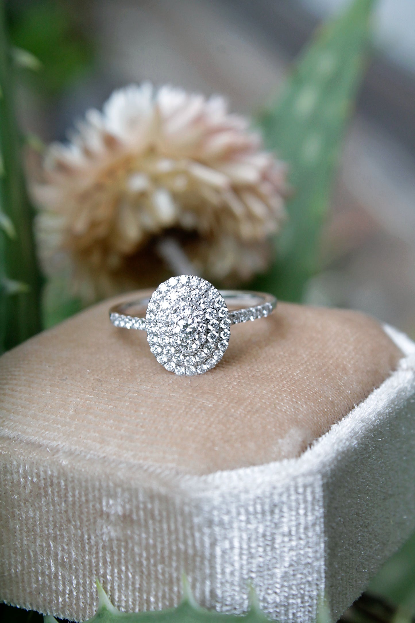 Anillo halo oro blanco y brillantes