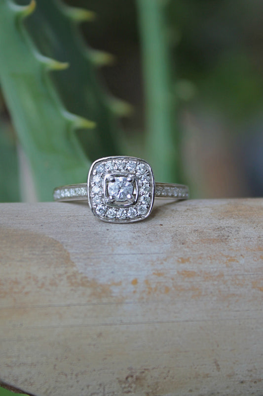 Anillo modelo halo cushion, oro blanco y brillantes