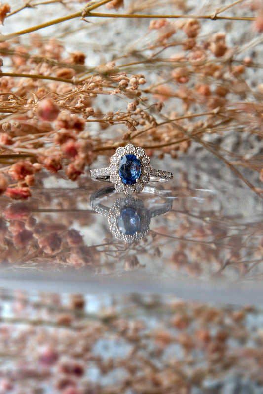 Anillo modelo Lady Di, oro blanco, Zafiro y brillantes