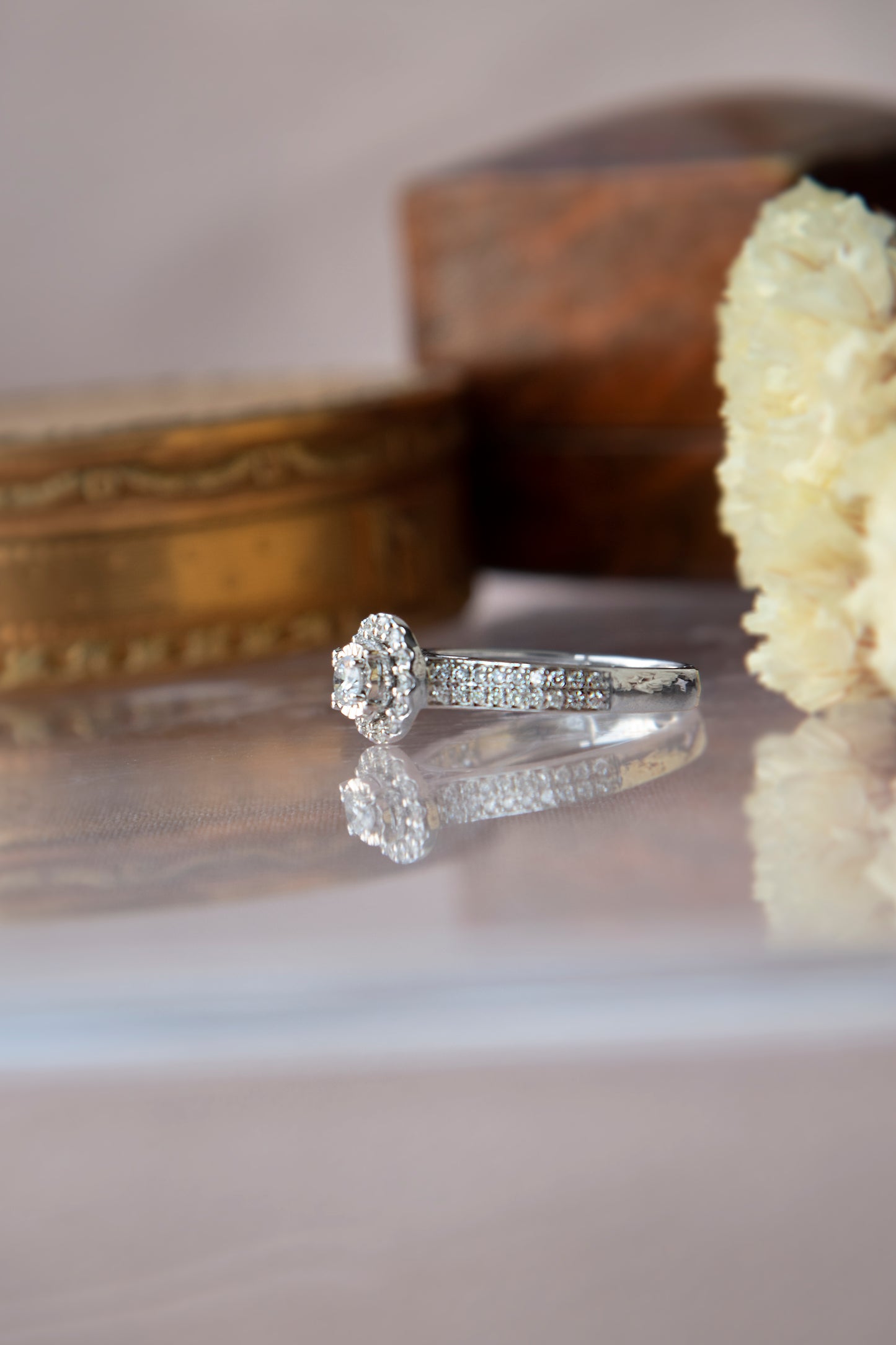 Anillo modelo halo, oro blanco y brillantes