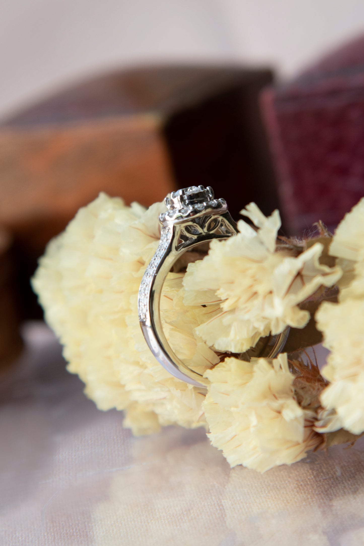 Anillo modelo halo, oro blanco y brillantes