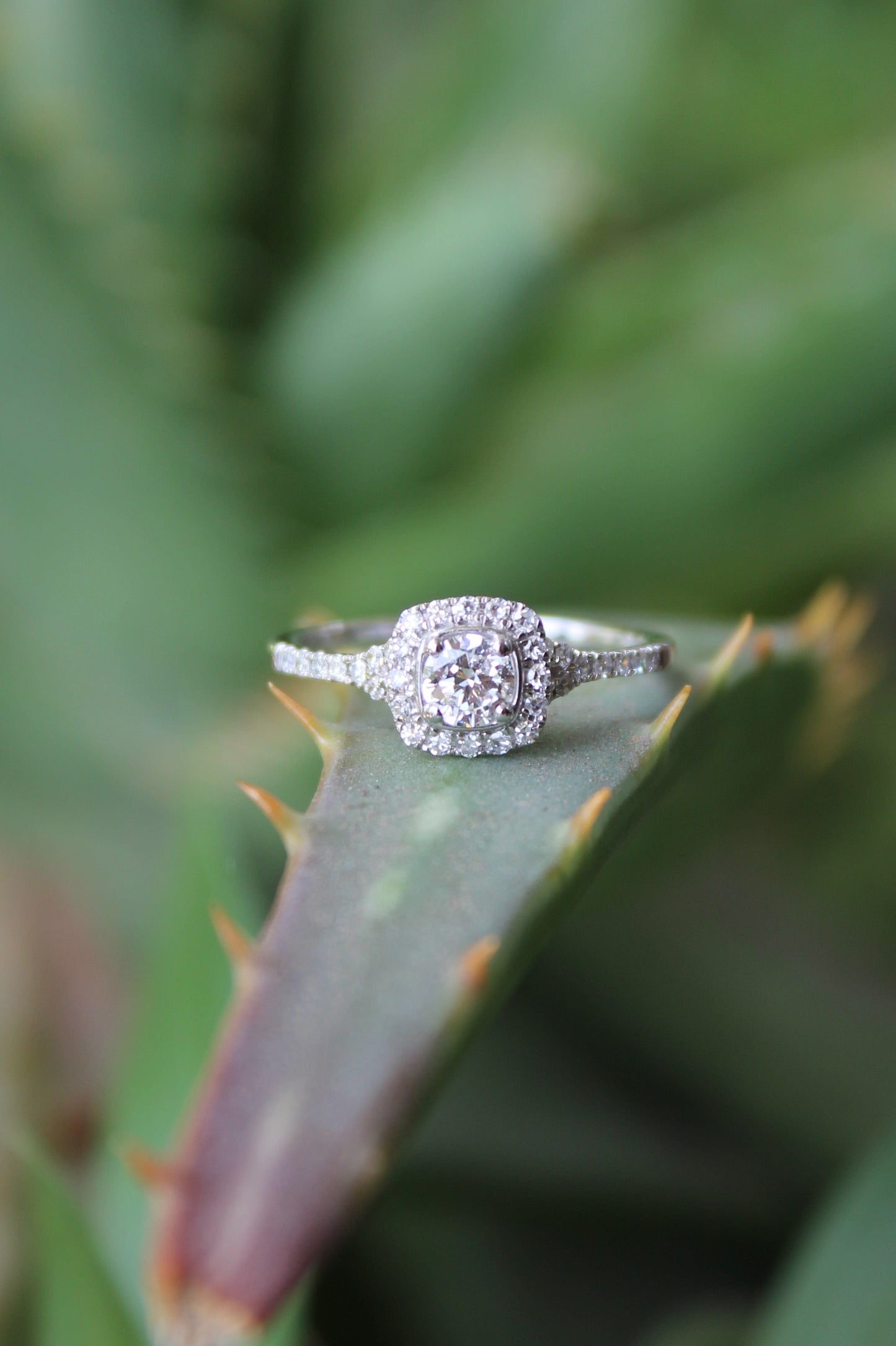Anillo metal oro blanco y diamantes sintéticos