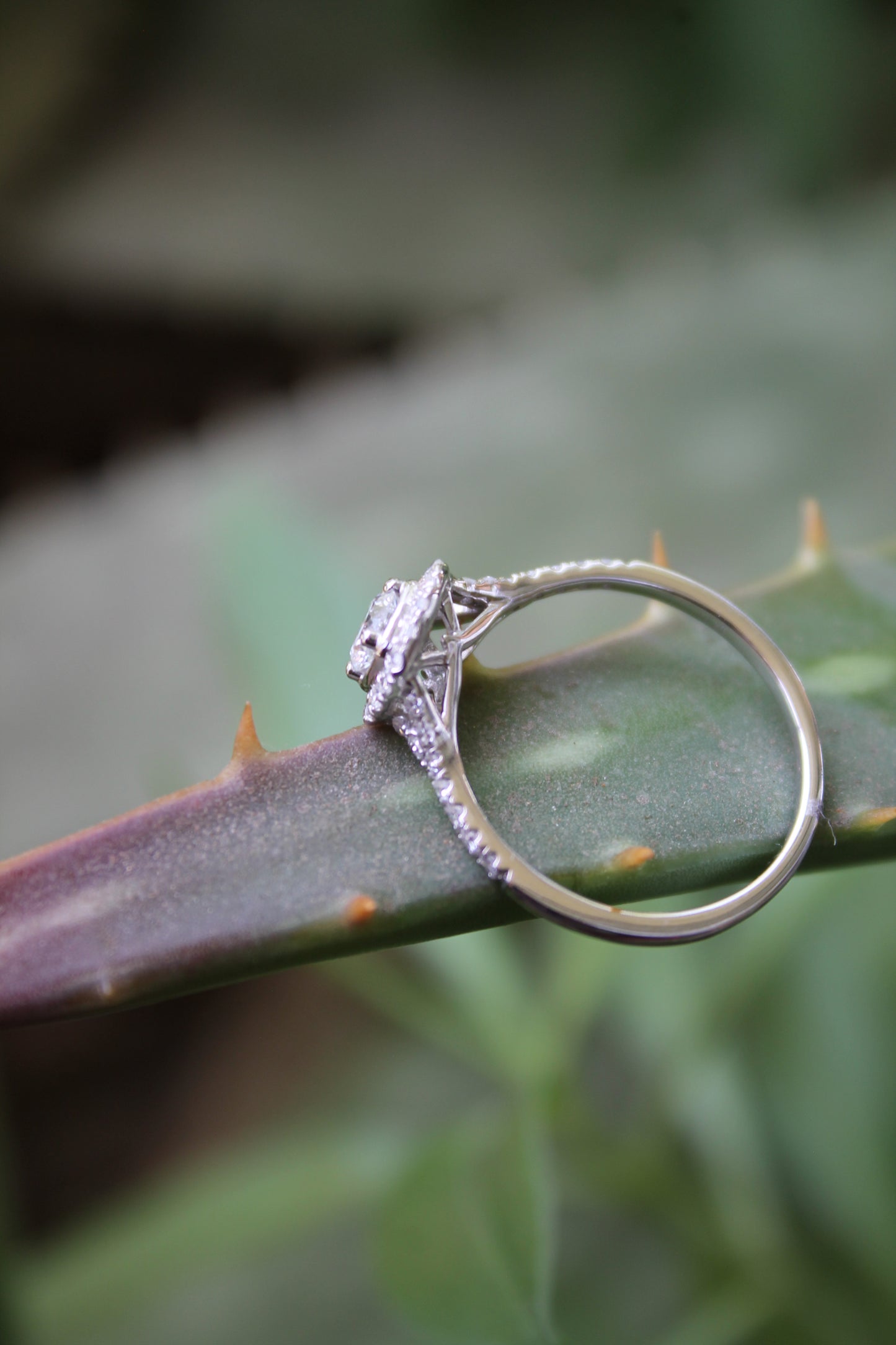 Anillo metal oro blanco y diamantes sintéticos