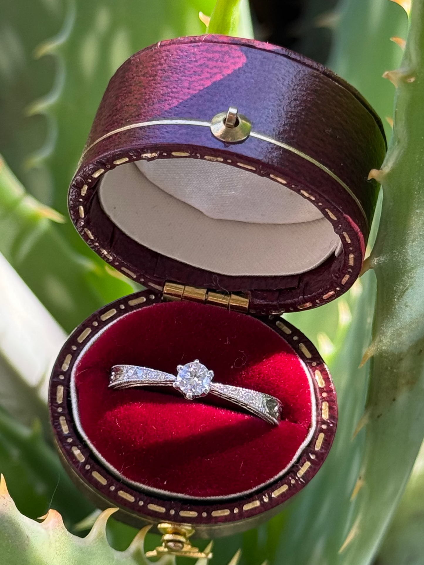 Anillo solitario hecho a mano a pedido en platino y brillantes