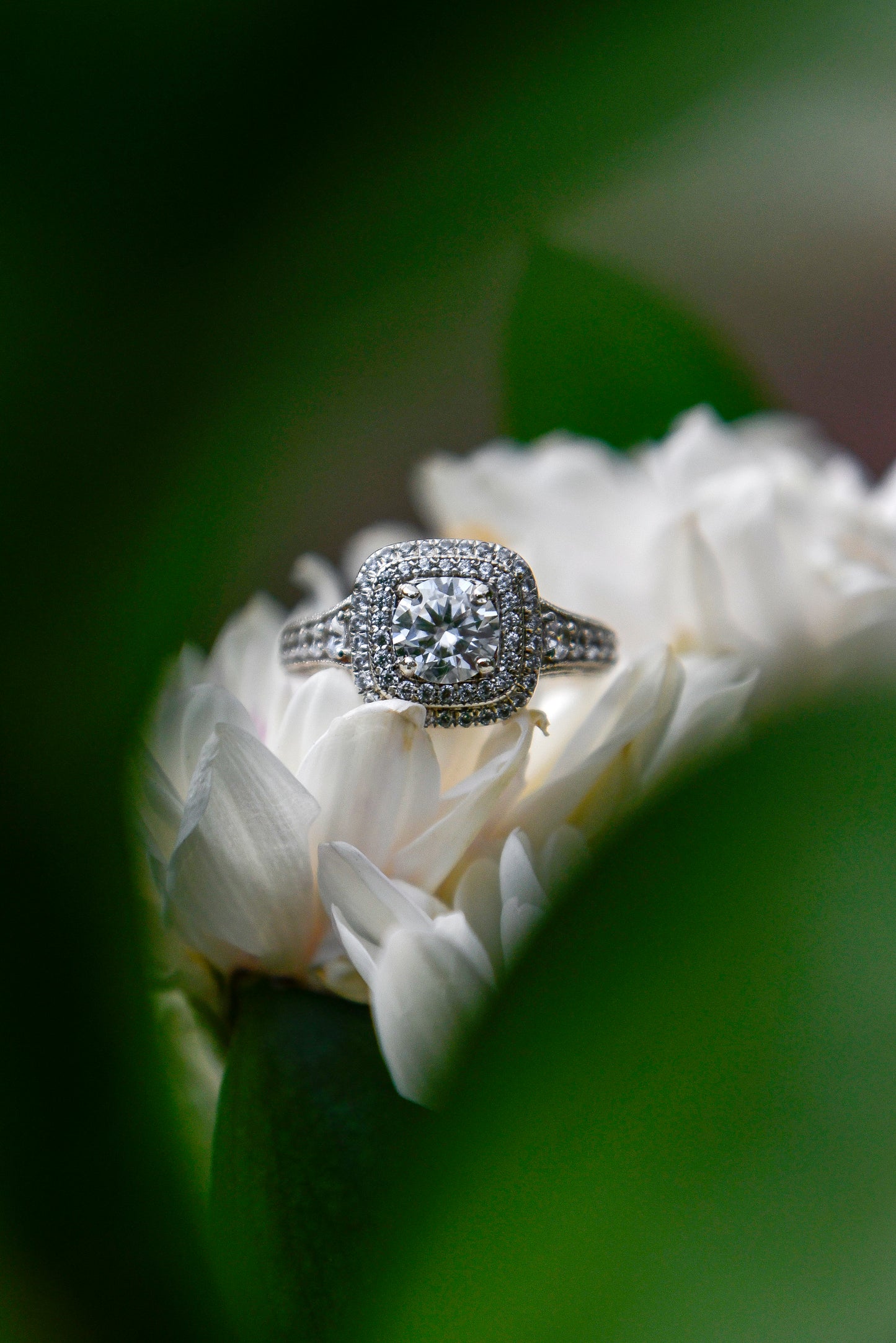 Anillo modelo halo cushion, plata 925, Moissanita central rodeada por zirconitas.