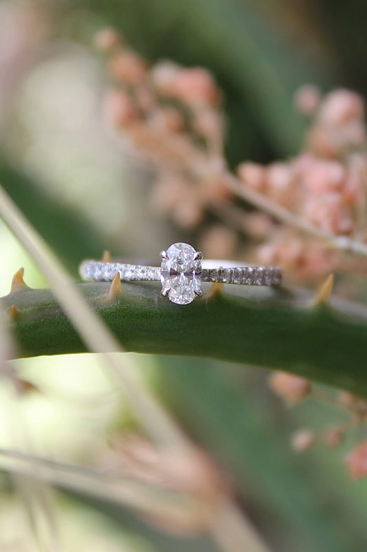 Anillo solitario hecho a mano a pedido en platino y diamantes