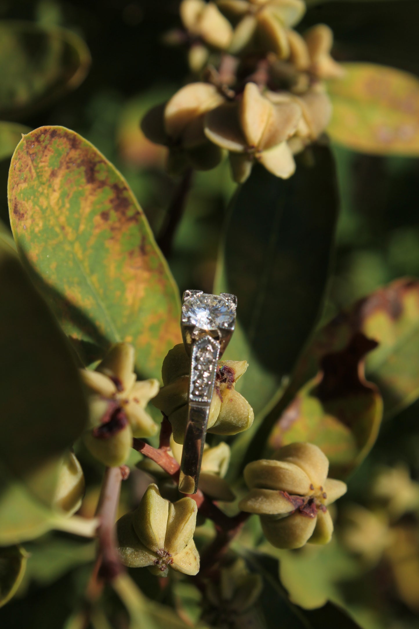 Solitario estilo antique, hecho a mano, de oro blanco italiano y brillantes.