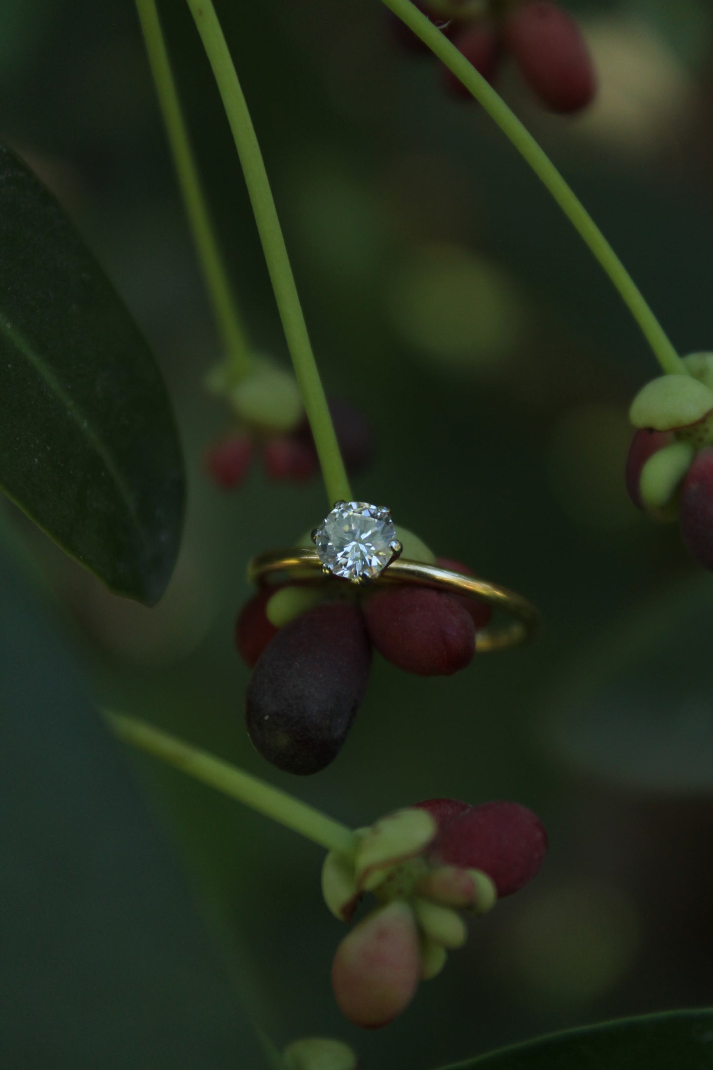 Anillo solitario europeo, hecho a mano, de oro amarillo y brillante.