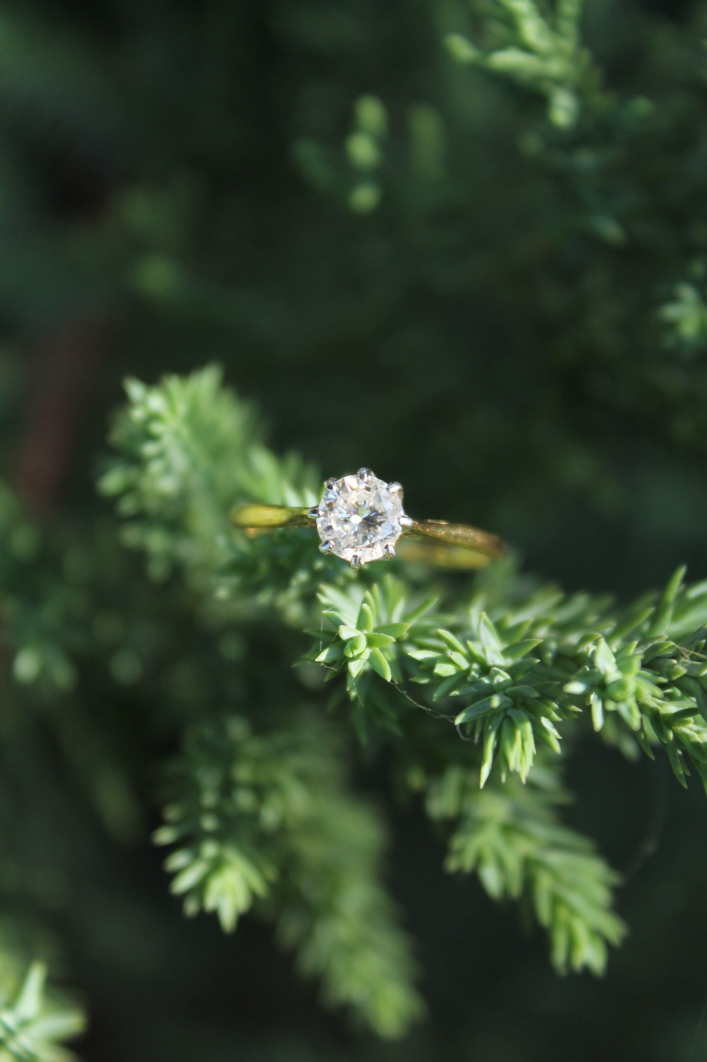 Anillo solitario europeo, oro amarillo, platino y brillante "old european cut".