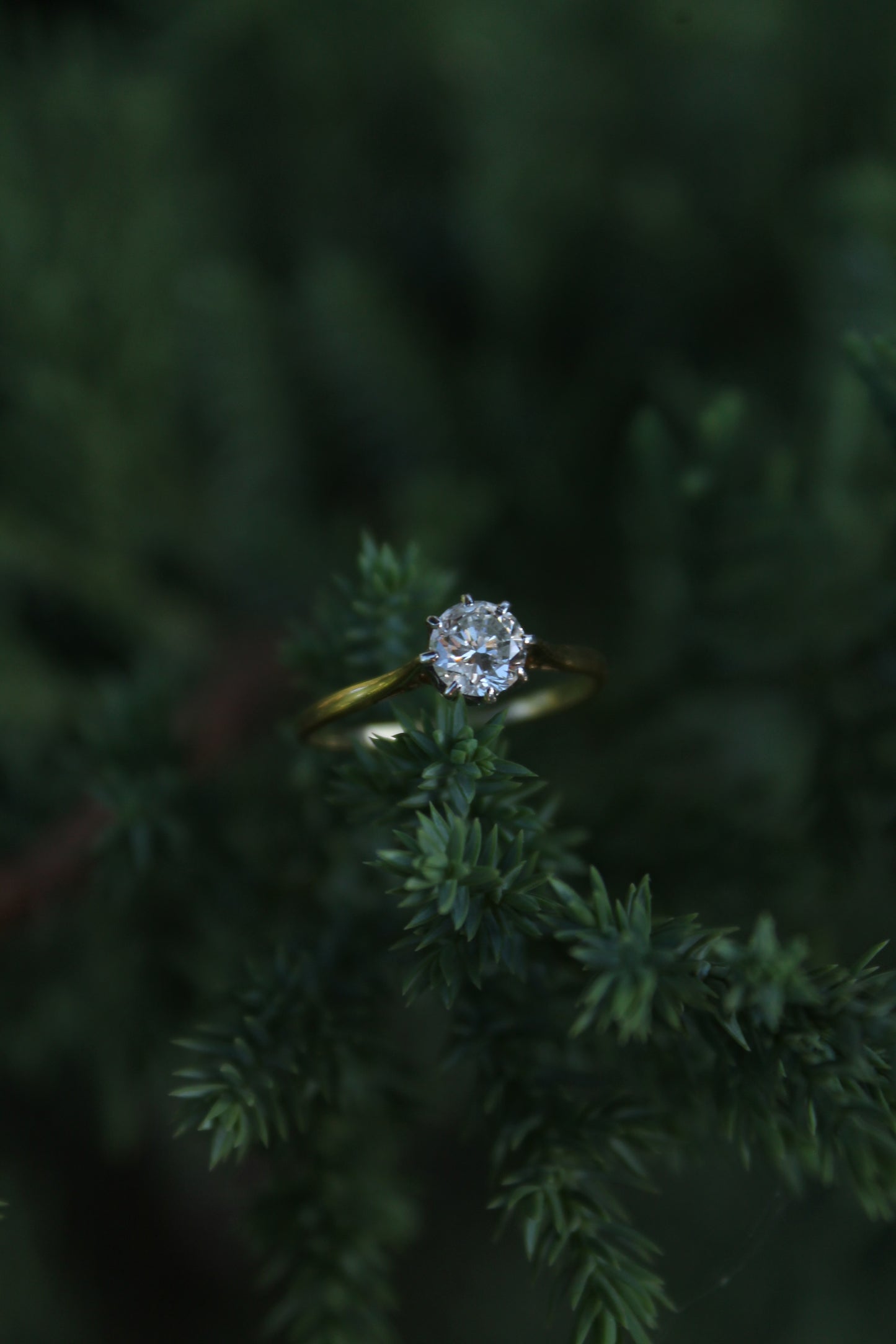 Anillo solitario europeo, oro amarillo, platino y brillante "old european cut".