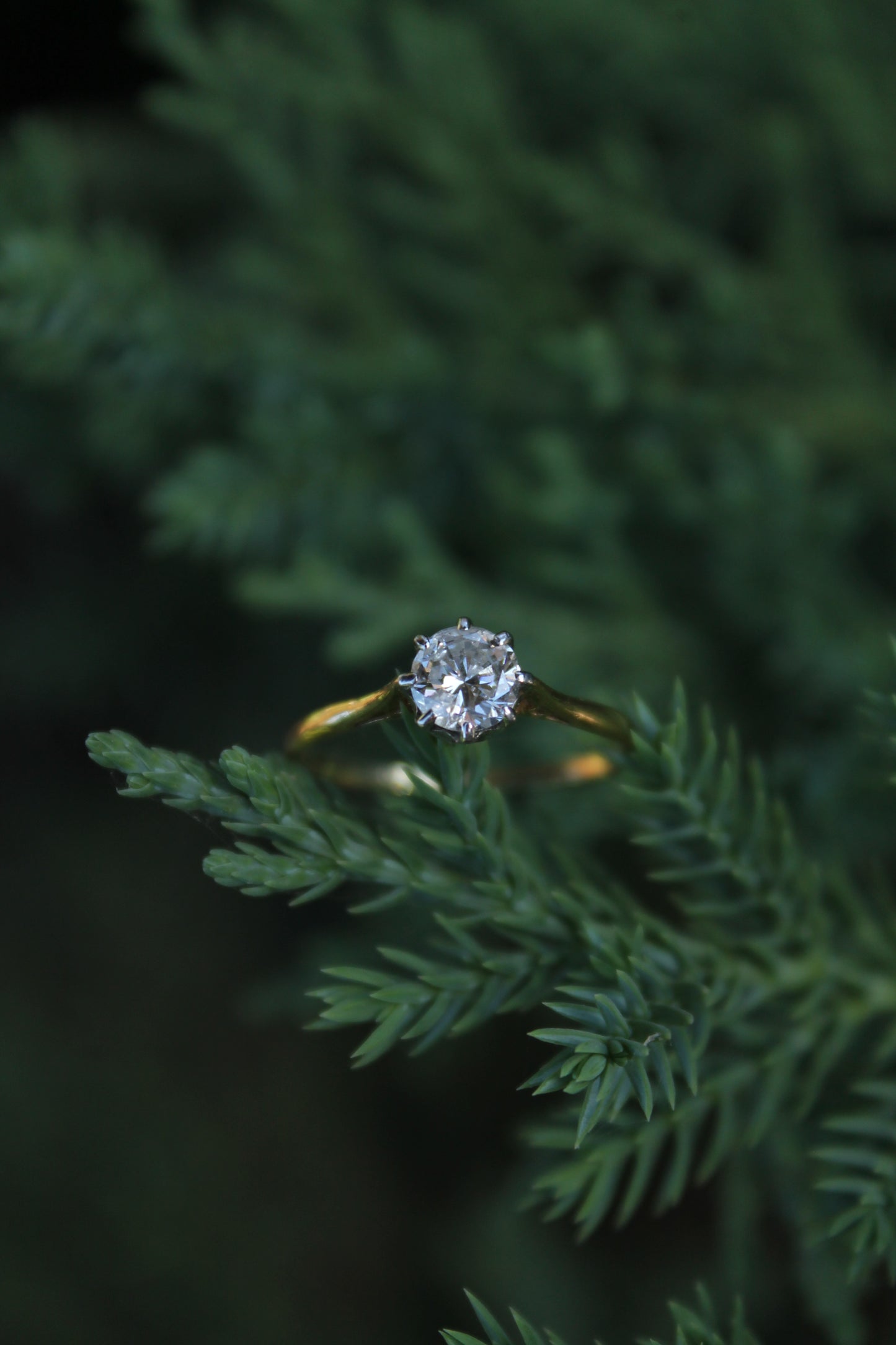 Anillo solitario europeo, oro amarillo, platino y brillante "old european cut".