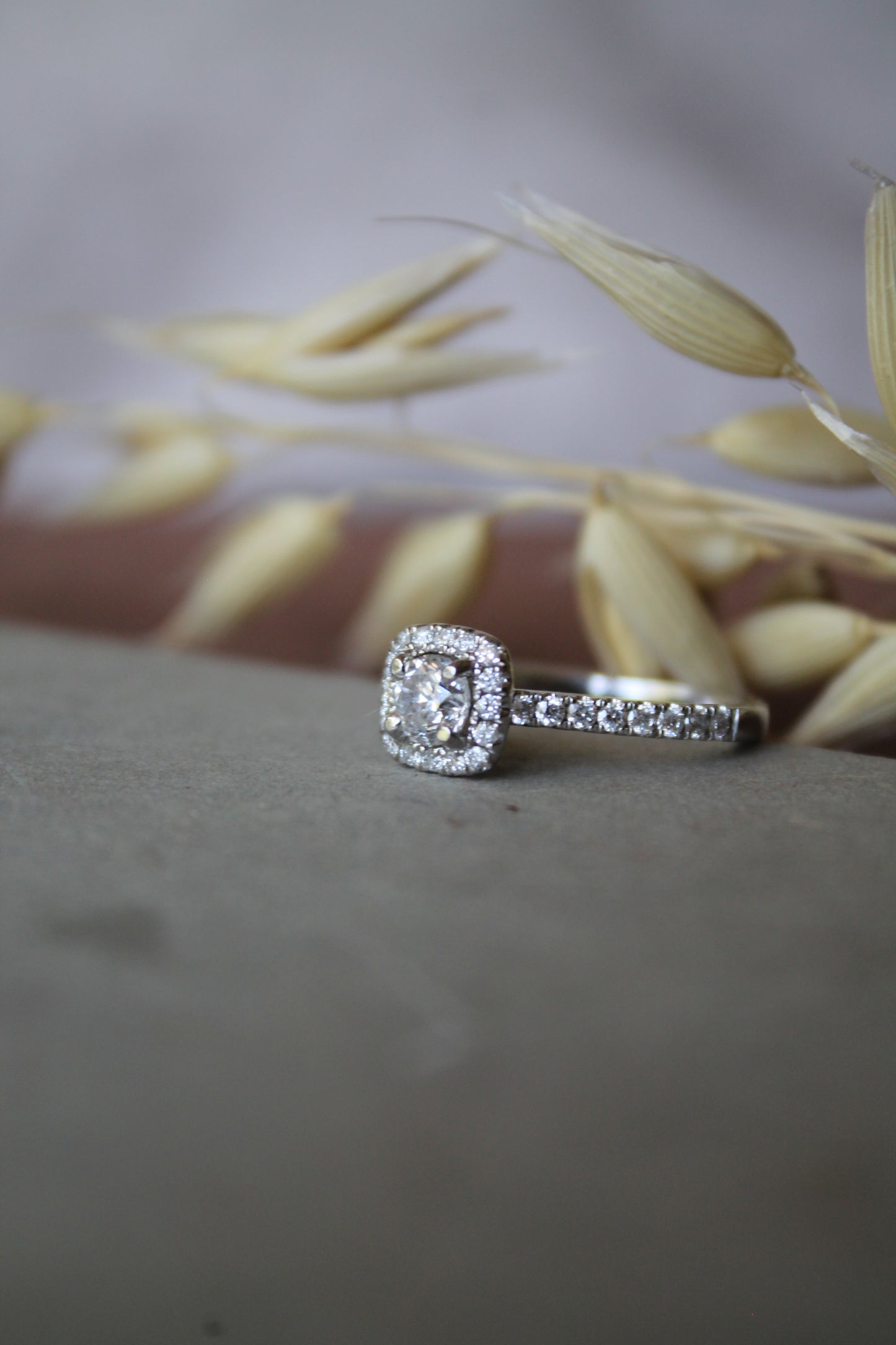 Anillo modelo halo, oro blanco y brillantes