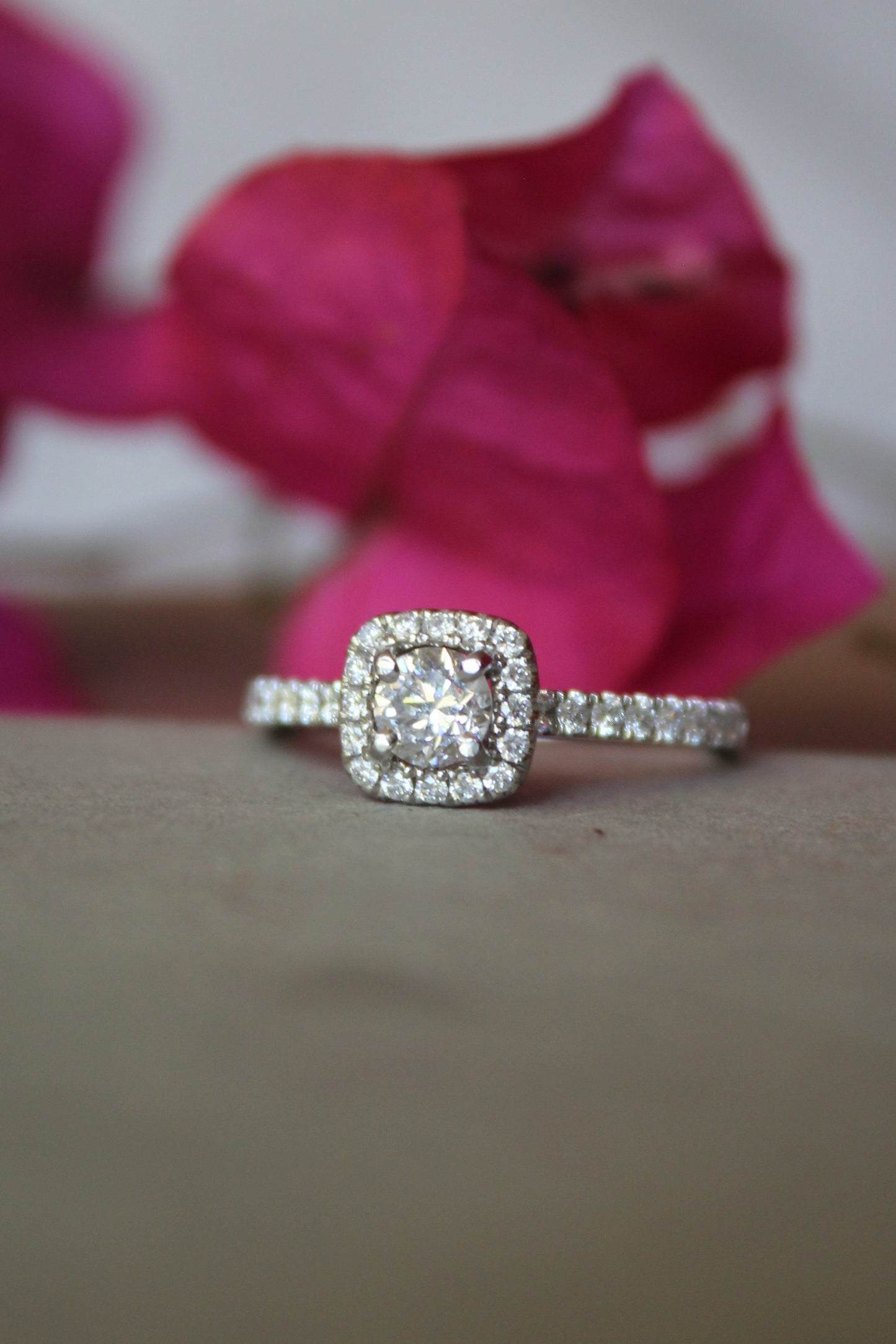 Anillo modelo halo, oro blanco y brillantes